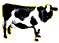 ko.gif (1566 bytes)
